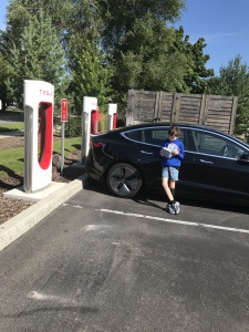 drive a Tesla